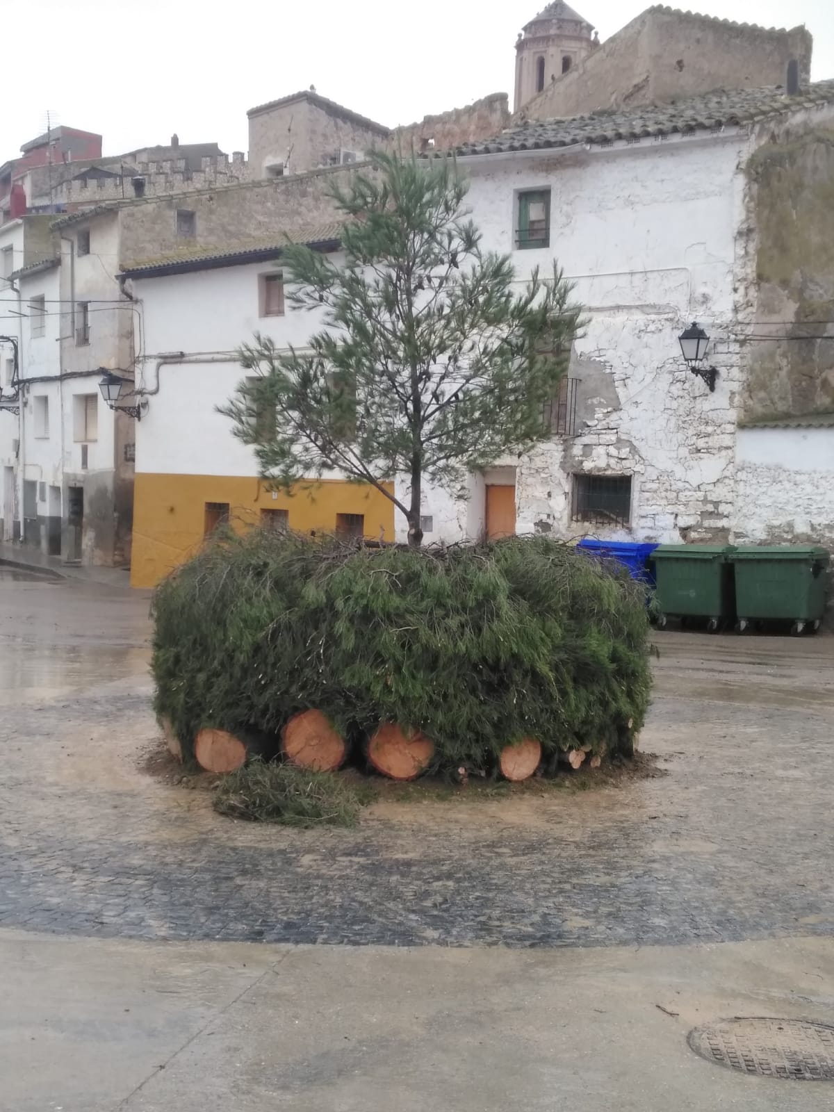 Imagen adjunto por pepecheme@hotmail.com el 25/01/2021  a las 15:55
