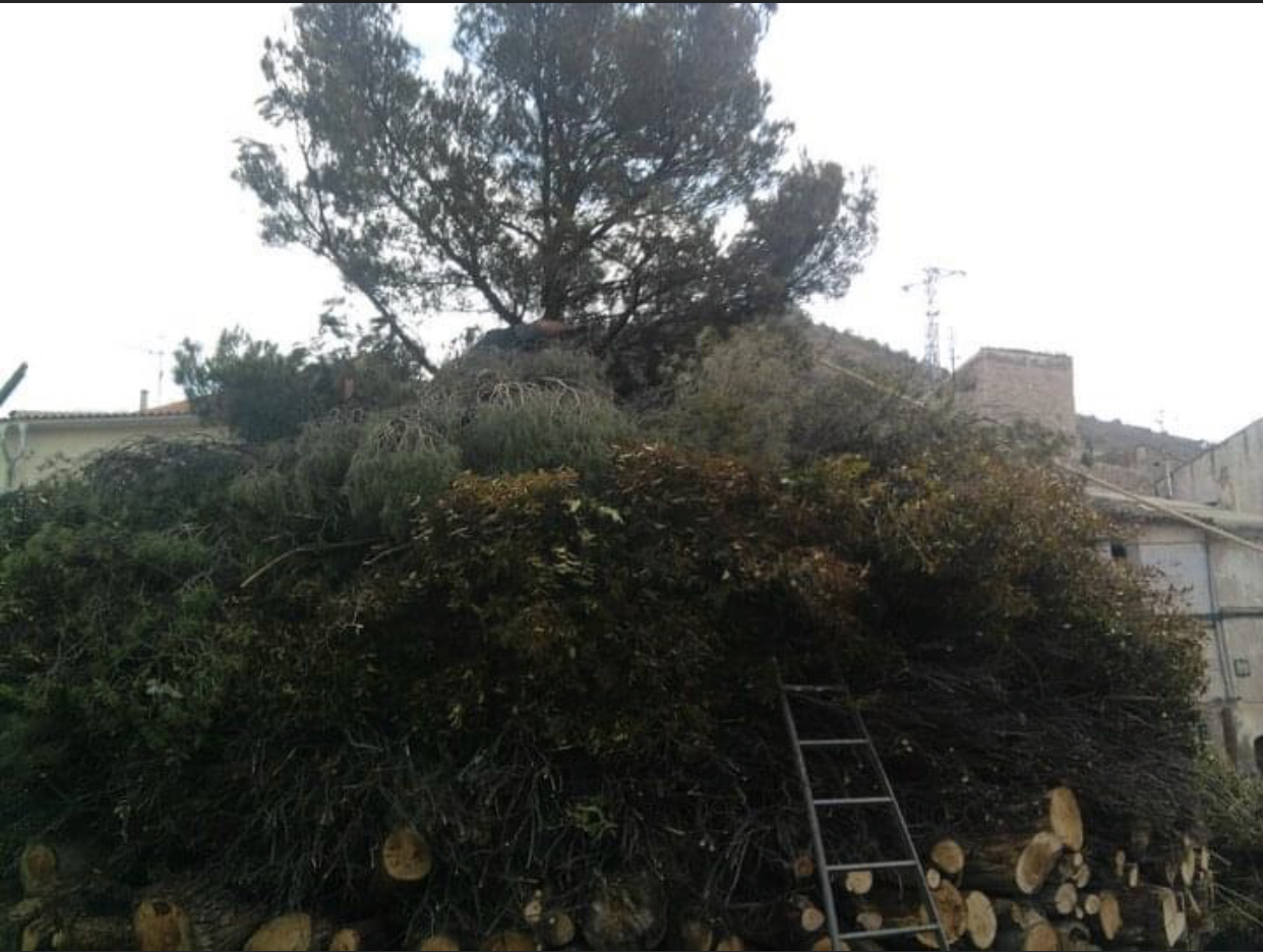 Imagen adjunto por Eva pujadas  el 22/01/2021 a las 10:54