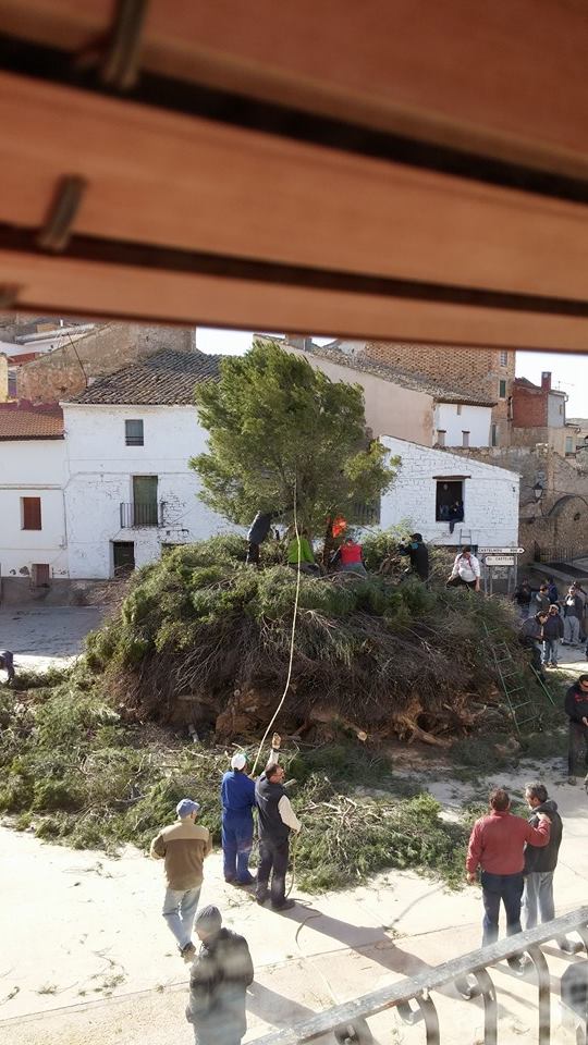 San Valero 2015