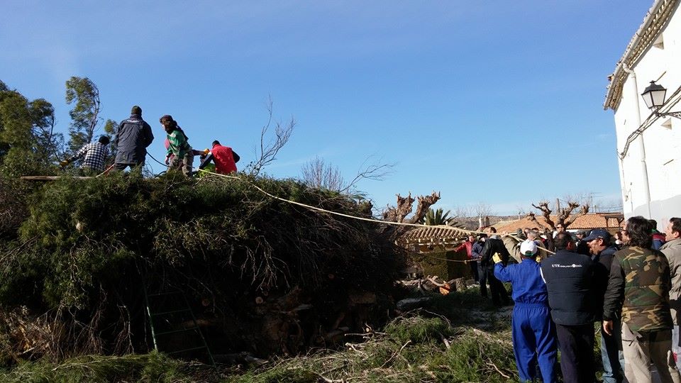 San Valero 2015