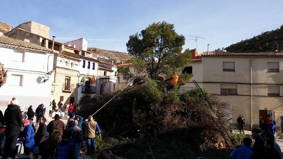 San Valero 2015