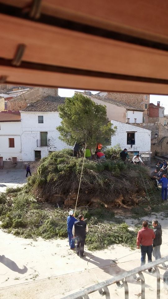San Valero 2015