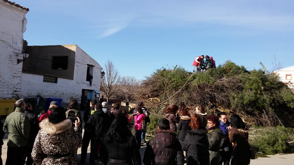 San Valero 2015