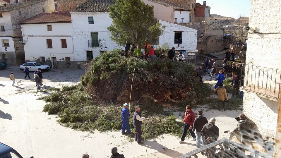 San Valero 2015
