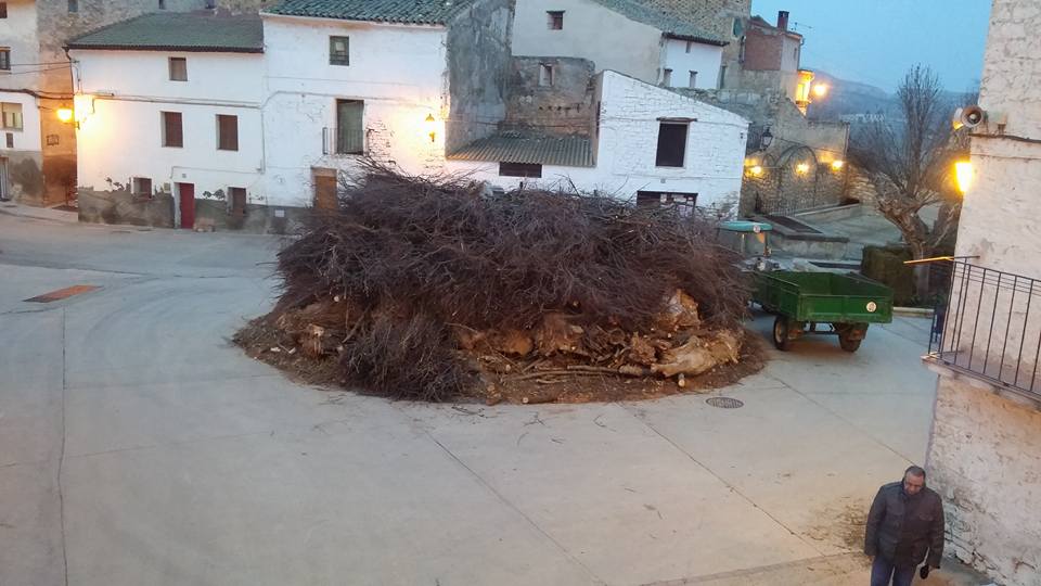San Valero 2016