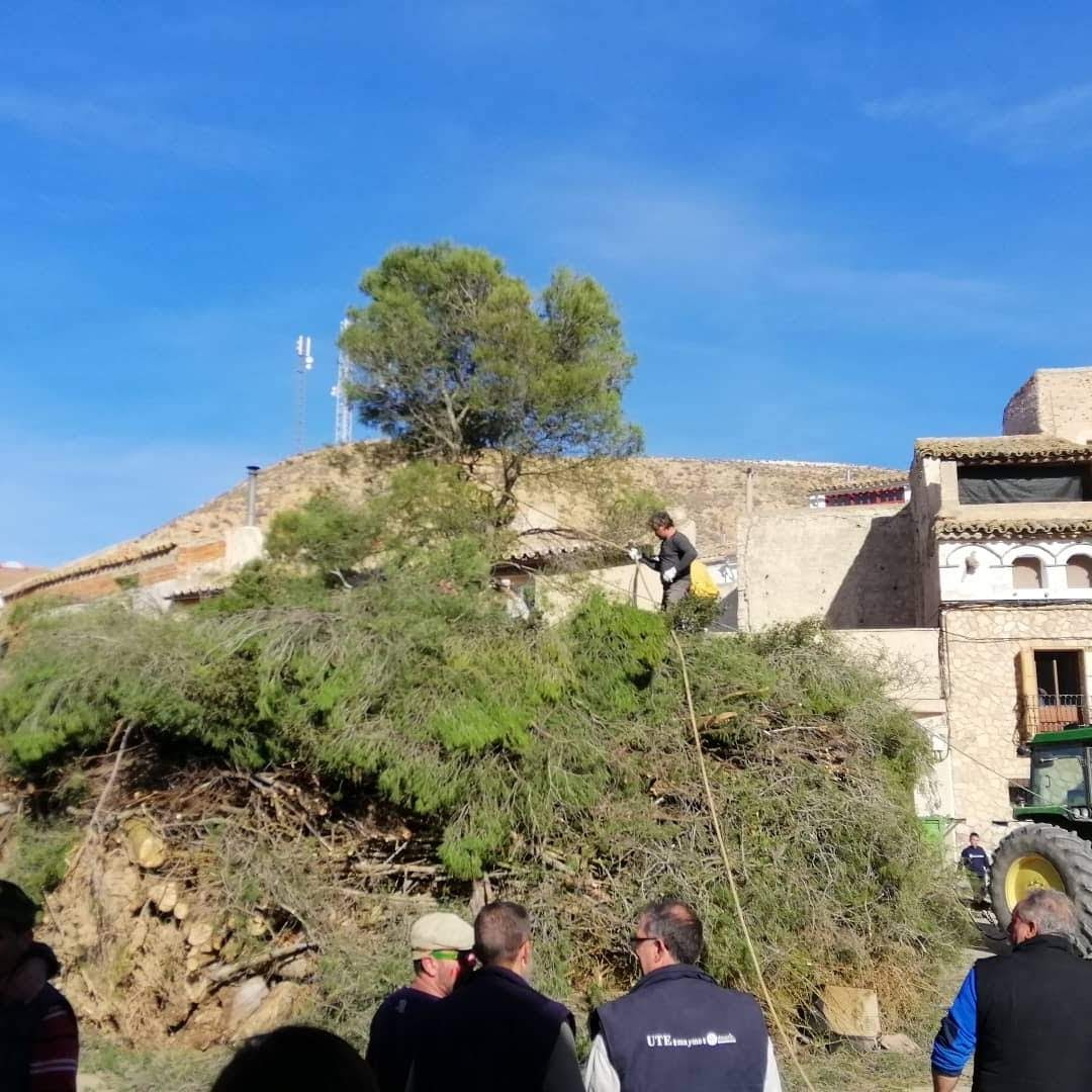 San Valero 2019