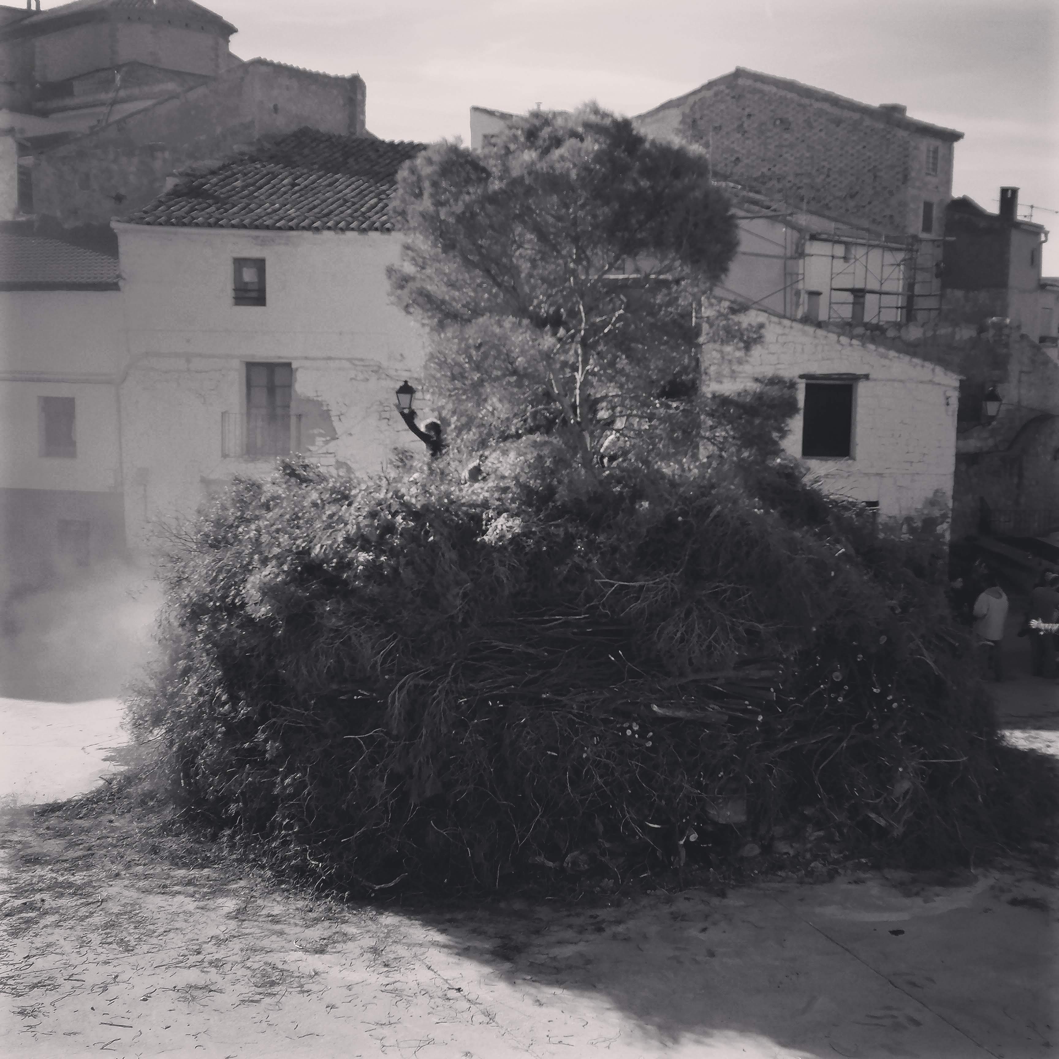 San Valero 2019