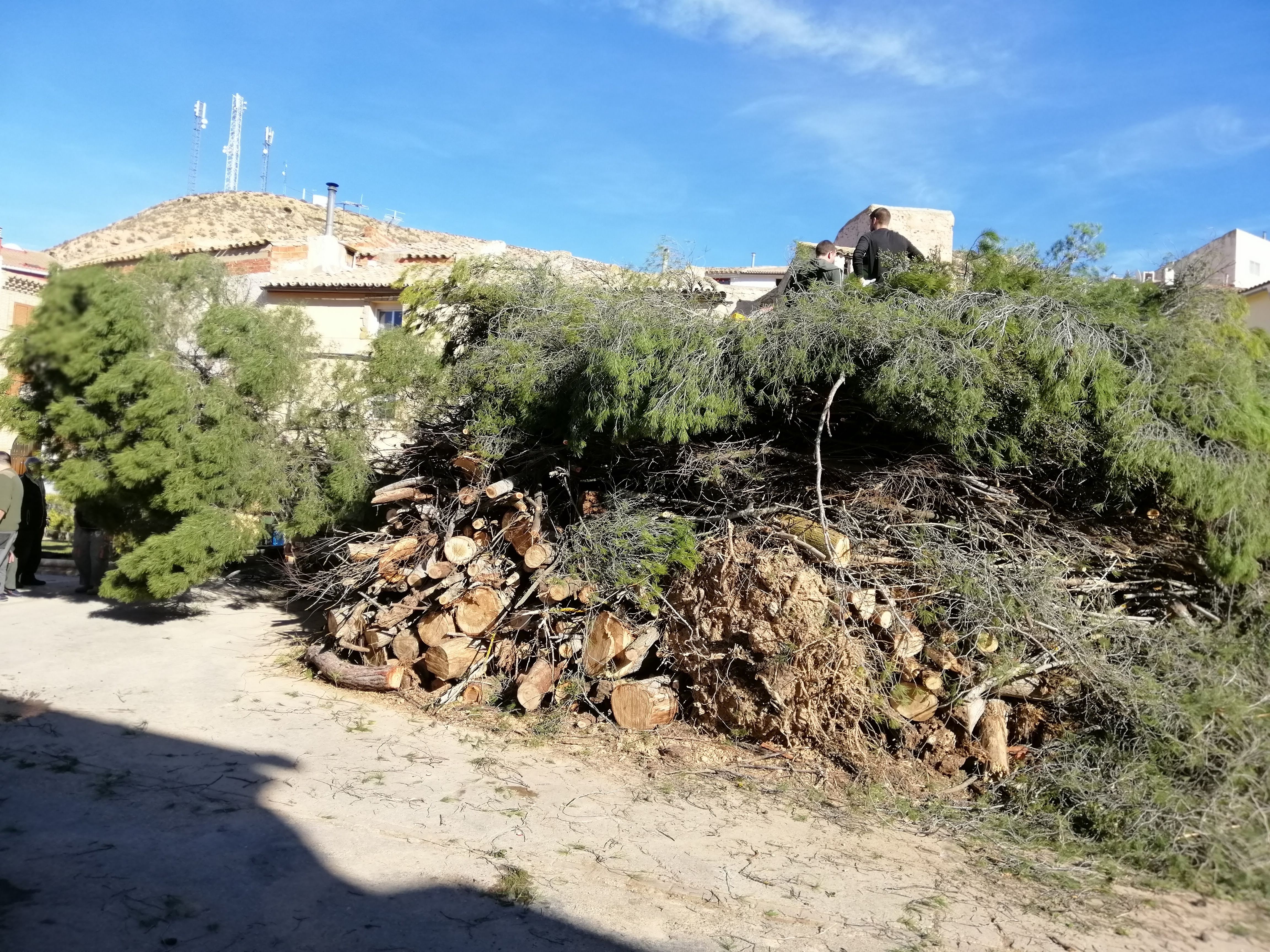 San Valero 2019
