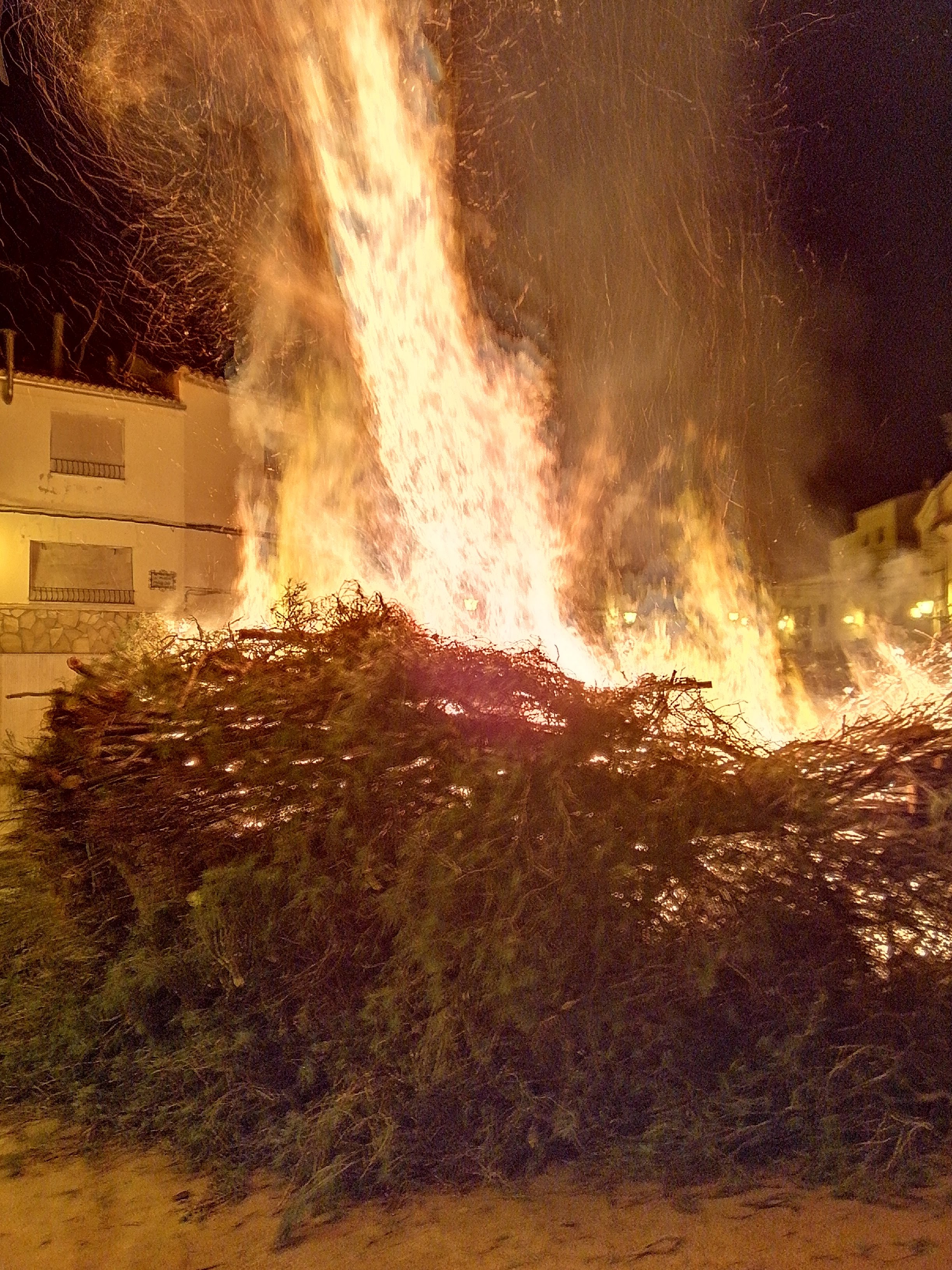 San Valero 2019