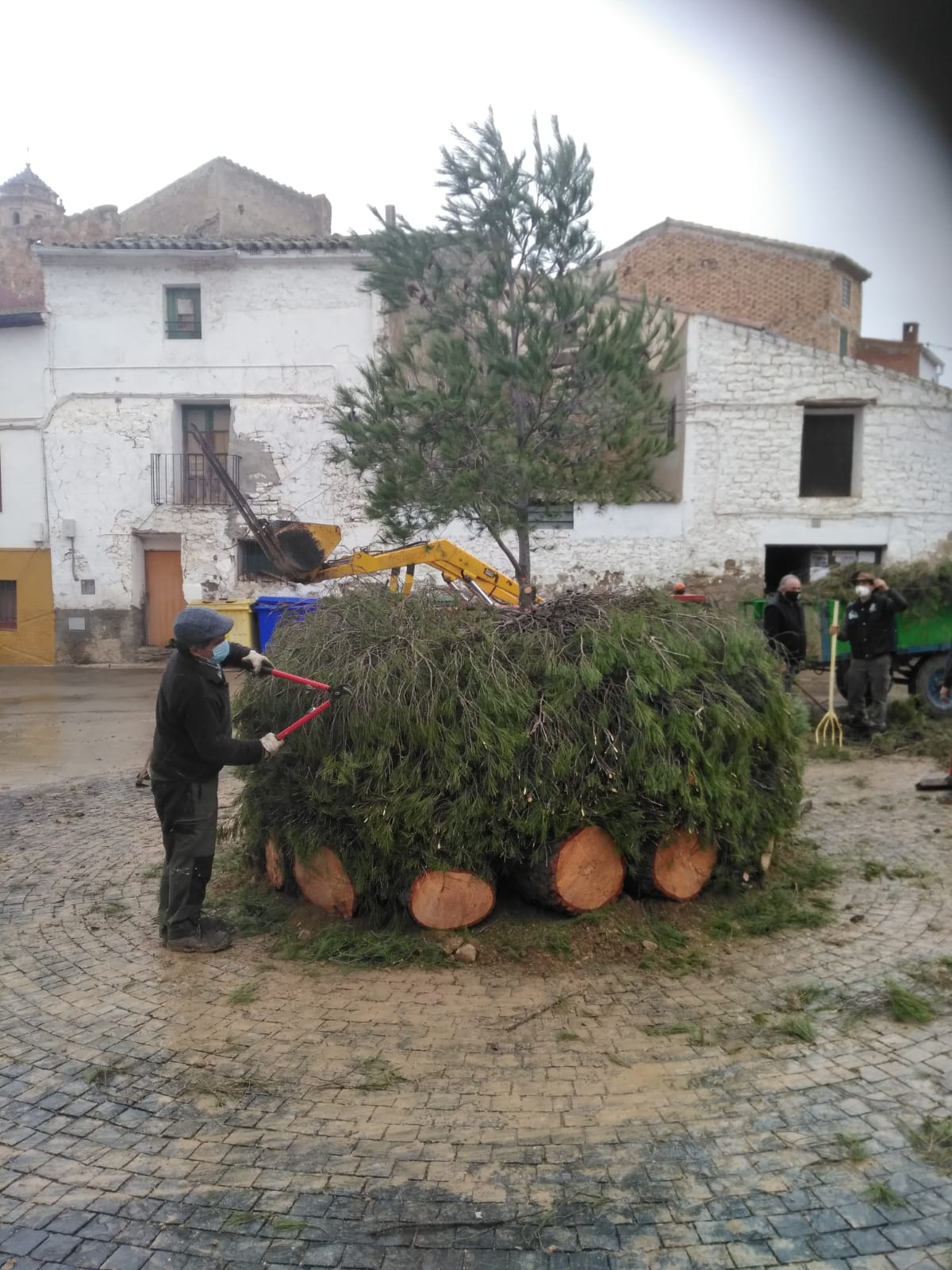Imagen adjunto por Raquel Ibañez Diaz el 25/01/2021  a las 14:51